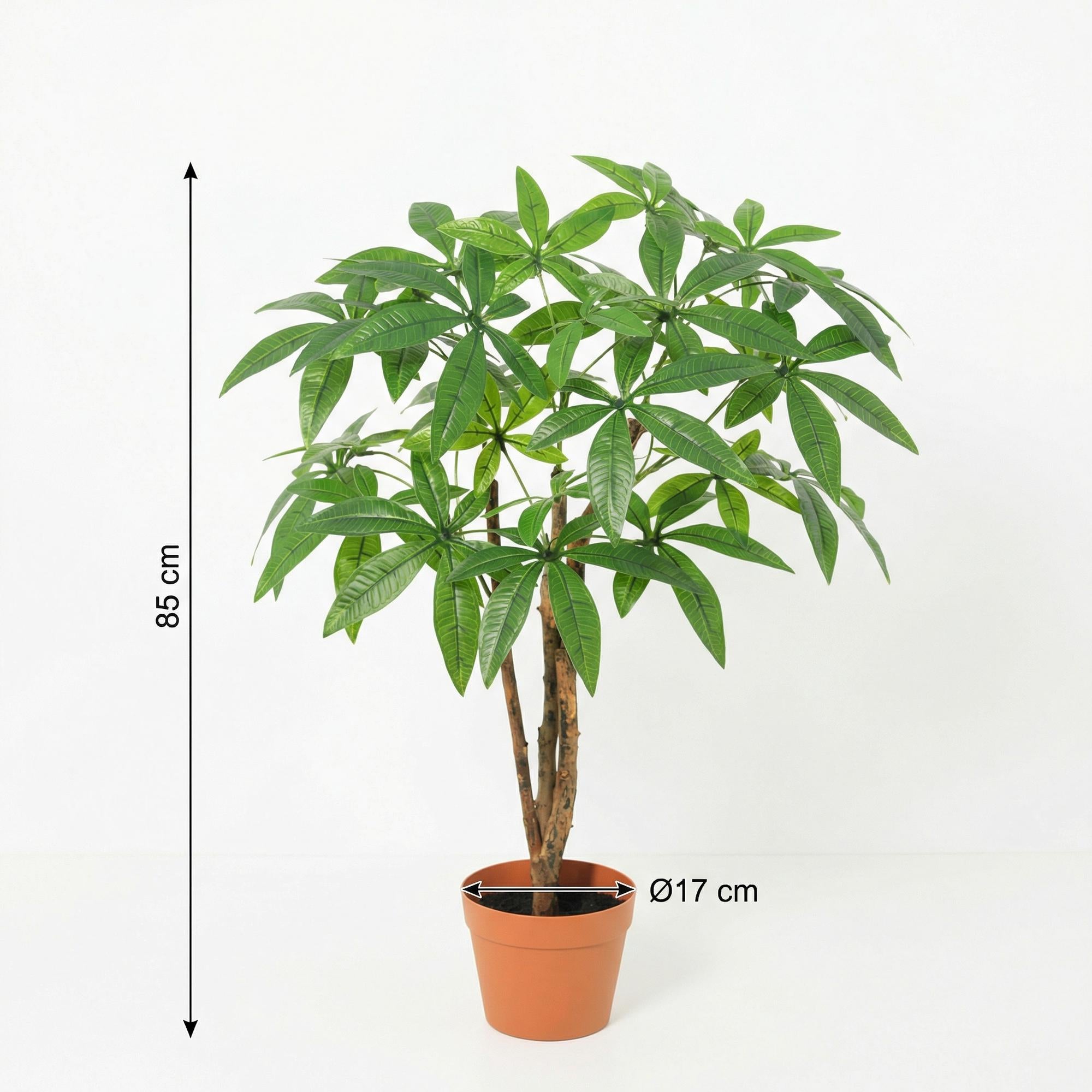 ARTIFICIAL Pachira Aquatica - 86cm