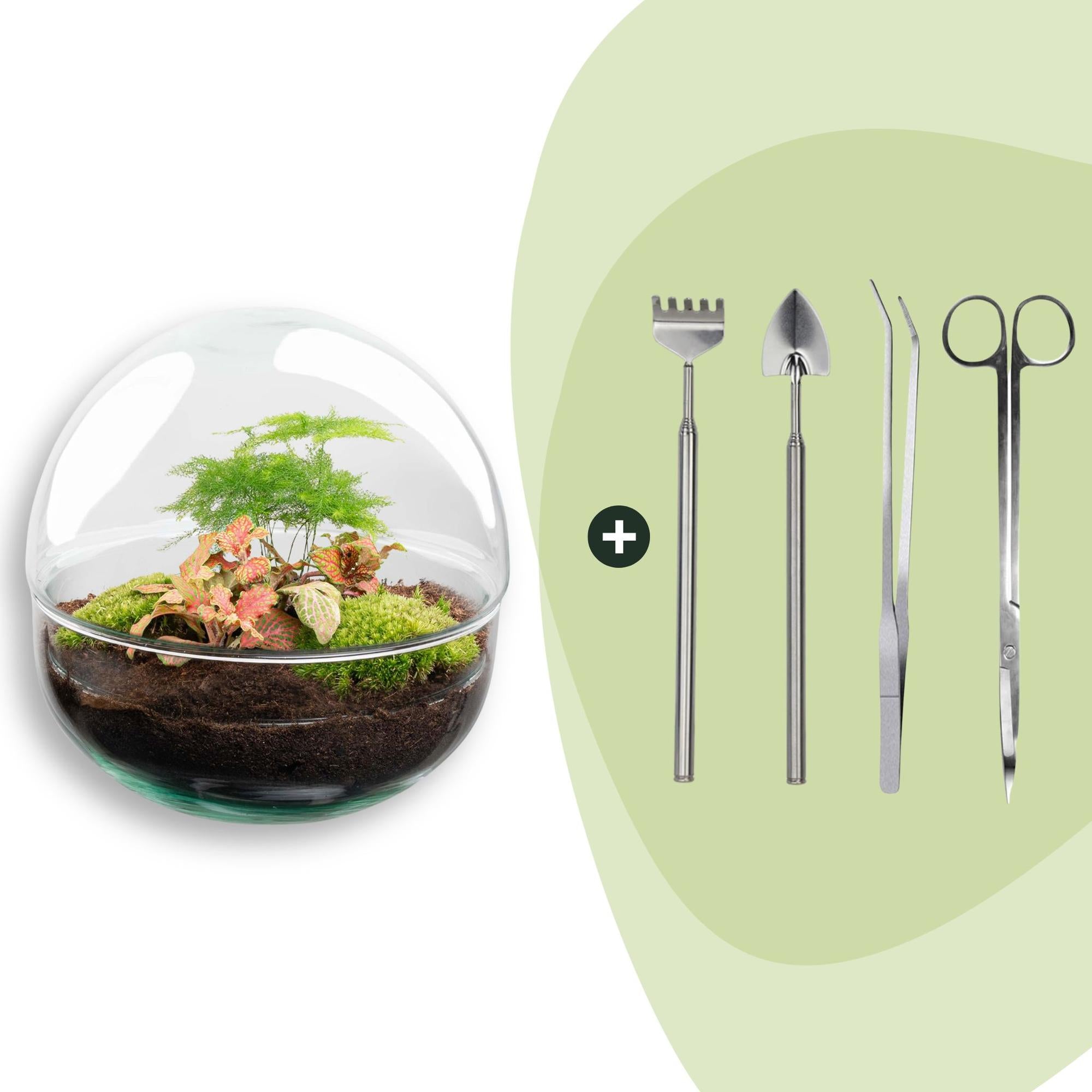 DIY Planten terrarium tweedelig bolglas - Dome Red - Ø 20 cm ↑ 20 cm   - Rake + Shovel + Tweezer + Scissors