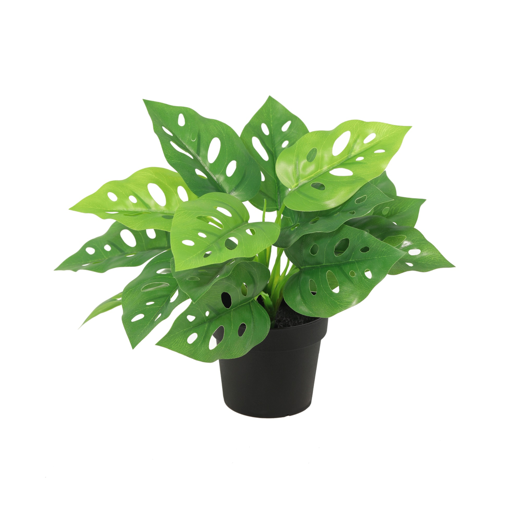 ARTIFICIAL Monstera Monkey leaf - 22cm