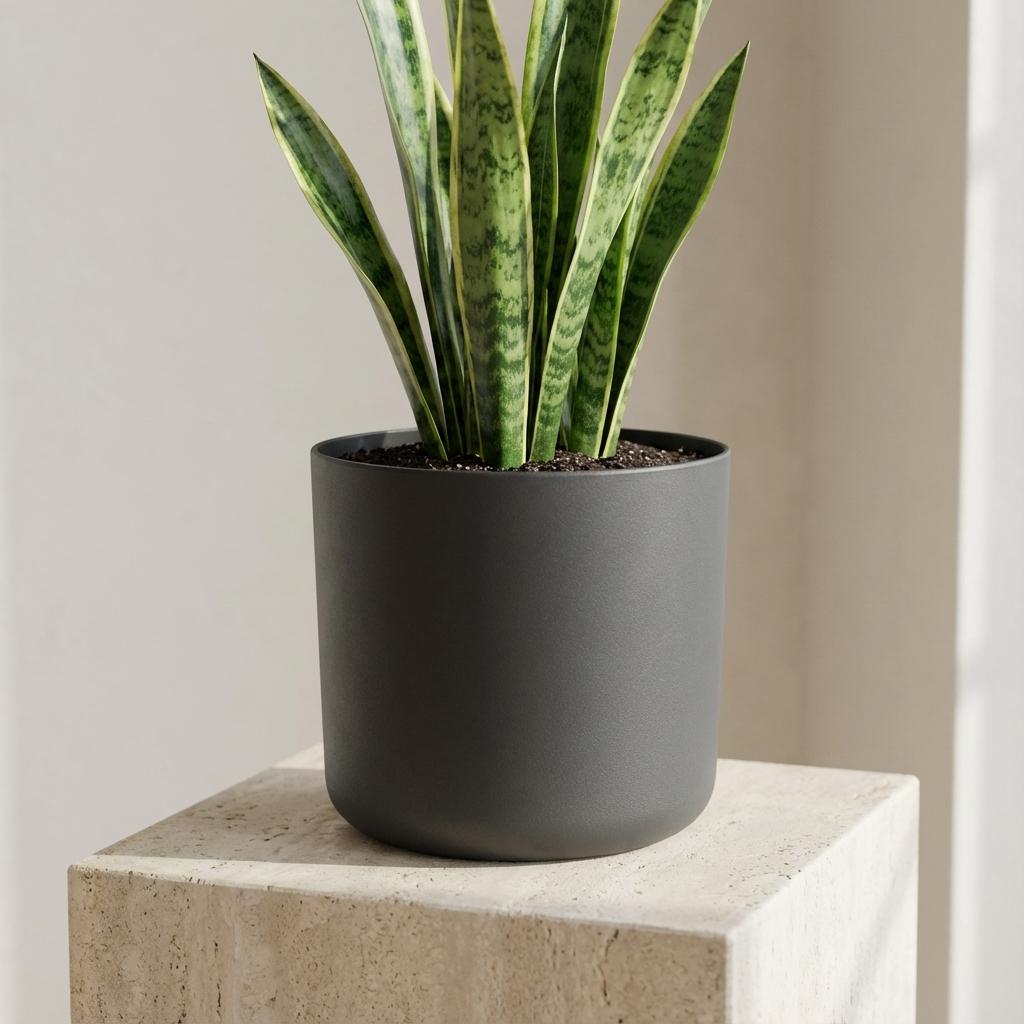 Elho B.for soft Antraciet - 16cm