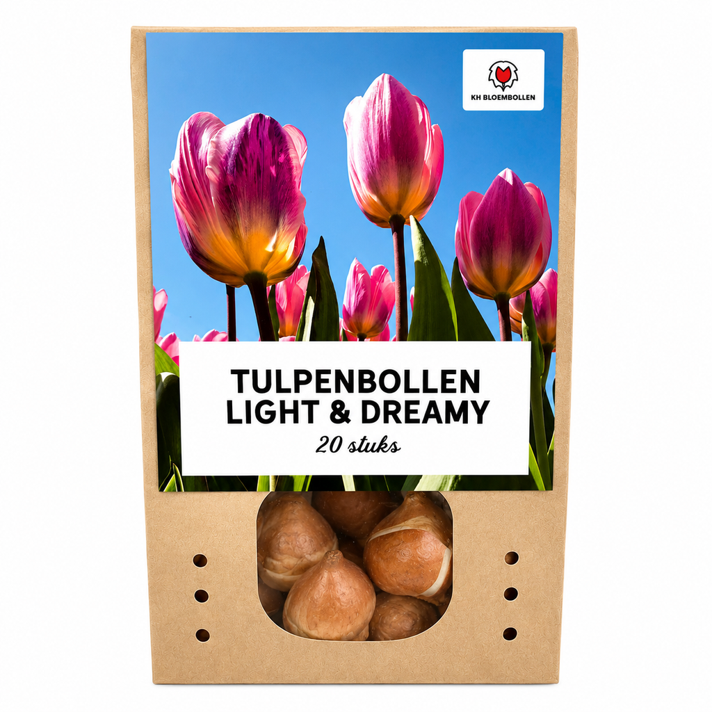 Tulpenbollen Light and Dreamy – 20 Stuks | KH Bloembollen® | Prachtige Pastelkleuren – Voor Tuin of Pot – Maat 11/12 – Vers van de Teler!