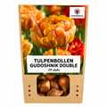Tulpenbollen Gudoshnik Double – 20 Stuks | KH Bloembollen® | Geel, Oranje & Rode Dubbelbloemige Tulp – Pioenachtig & Kleurrijk – Voor Tuin of Pot – Maat 11/12 – Vers van de Teler