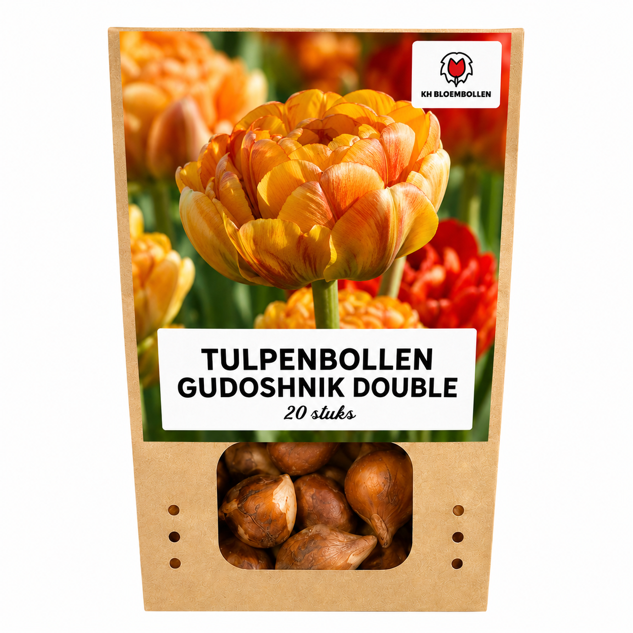Tulpenbollen Gudoshnik Double – 20 Stuks | KH Bloembollen® | Geel, Oranje & Rode Dubbelbloemige Tulp – Pioenachtig & Kleurrijk – Voor Tuin of Pot – Maat 11/12 – Vers van de Teler