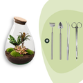 DIY Planten terrarium - Drop XL Palm - Ø 24 cm ↑ 37 cm - Rake + Shovel + Tweezer + Scissors