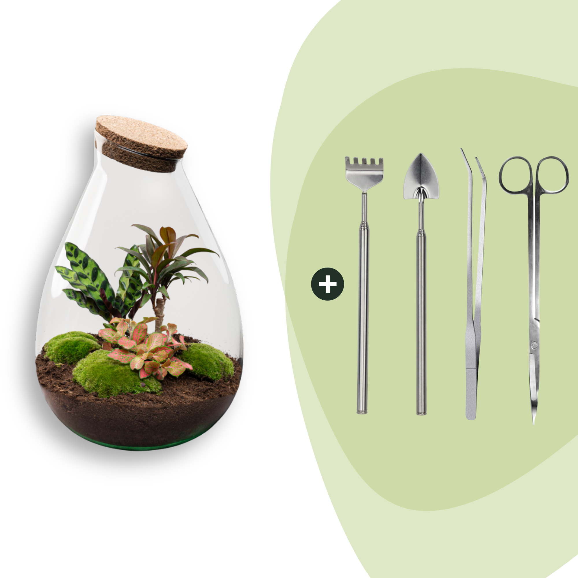 DIY Planten terrarium - Drop XL Palm - Ø 24 cm ↑ 37 cm - Rake + Shovel + Tweezer + Scissors