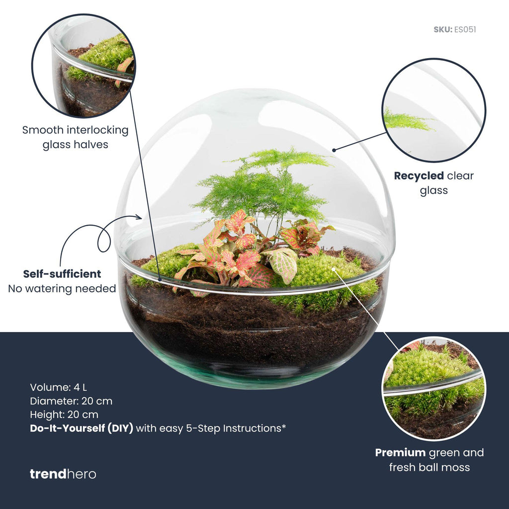 DIY Planten terrarium tweedelig bolglas - Dome Red - Ø 20 cm ↑ 20 cm   - Rake + Shovel
