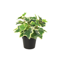 ARTIFICIAL White Ivy - 19cm