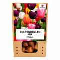 Tulpenbollen Mix - 20 Stuks - Winterhard - Maat 11/12