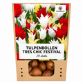 Tulpenbollen Tres Chic Mix – 20 Stuks | KH Bloembollen® | Rood, Geel & Witte Tulpen – Stijlvol, Fris & Kleurrijk – Voor Tuin of Pot – Maat 11/12 – Vers van de Teler