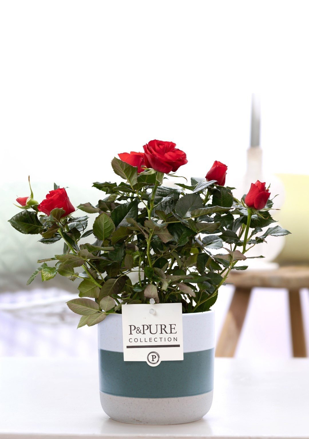 Rosa Red In P&PURE Lauren Ceramics - Ø12cm - ↕30cm