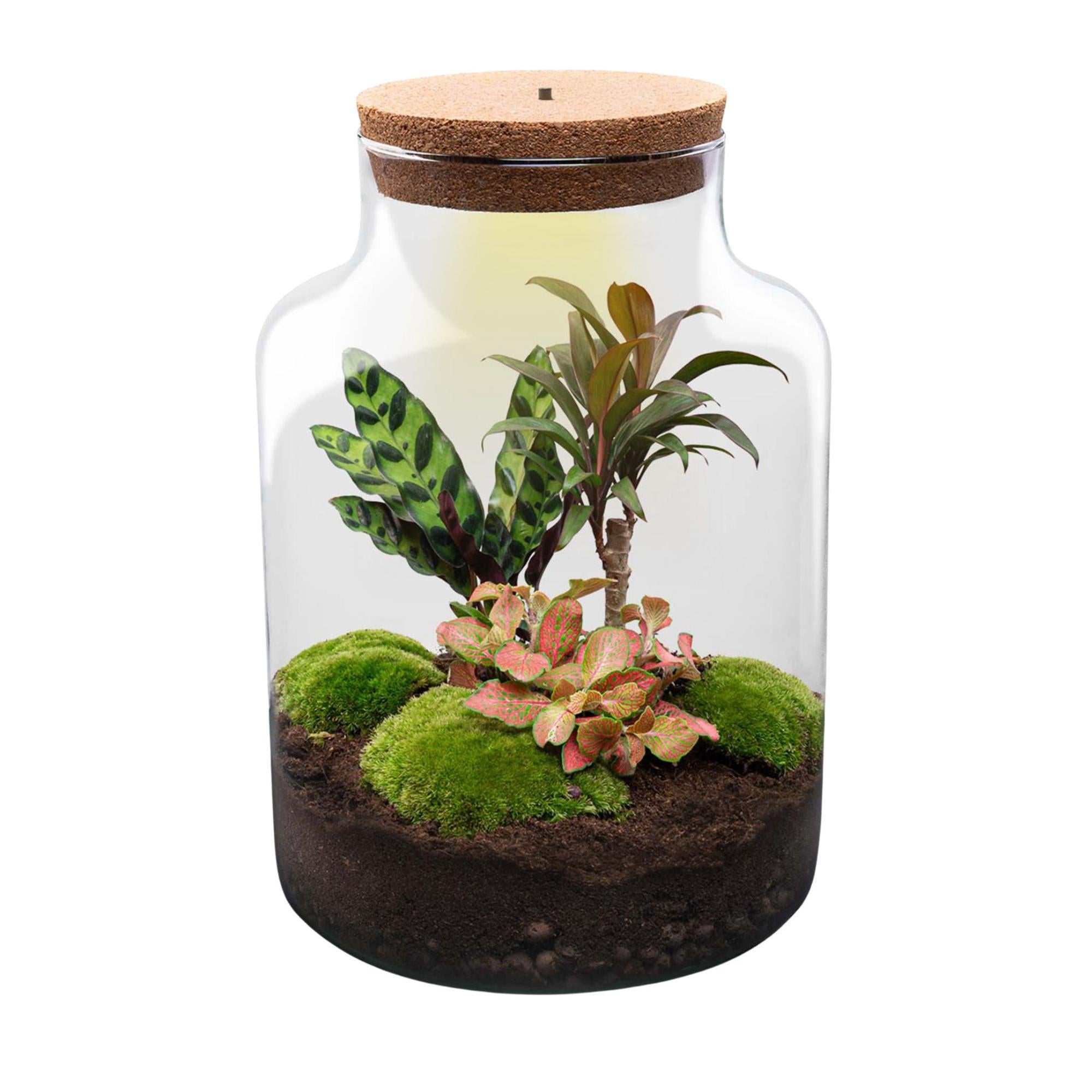 DIY Planten terrarium met licht - Milky - Ø 21 cm ↑ 30 cm - Rake + Shovel + Tweezer