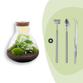 DIY Planten terrarium met licht - Sam XL Green - Ø 30 cm ↑ 32 cm - Rake + Shovel + Tweezer