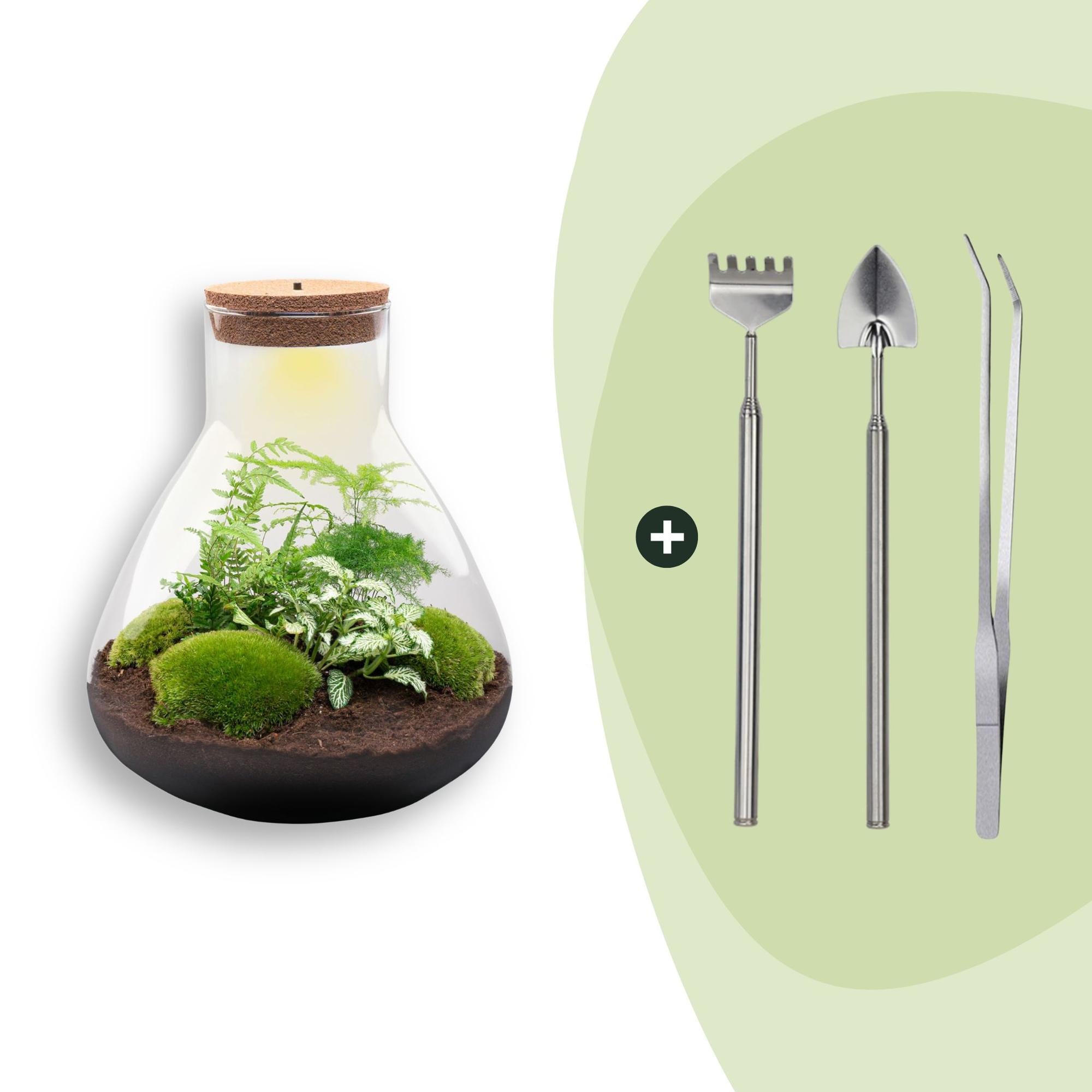 DIY Planten terrarium met licht - Sam XL Green - Ø 30 cm ↑ 32 cm - Rake + Shovel + Tweezer
