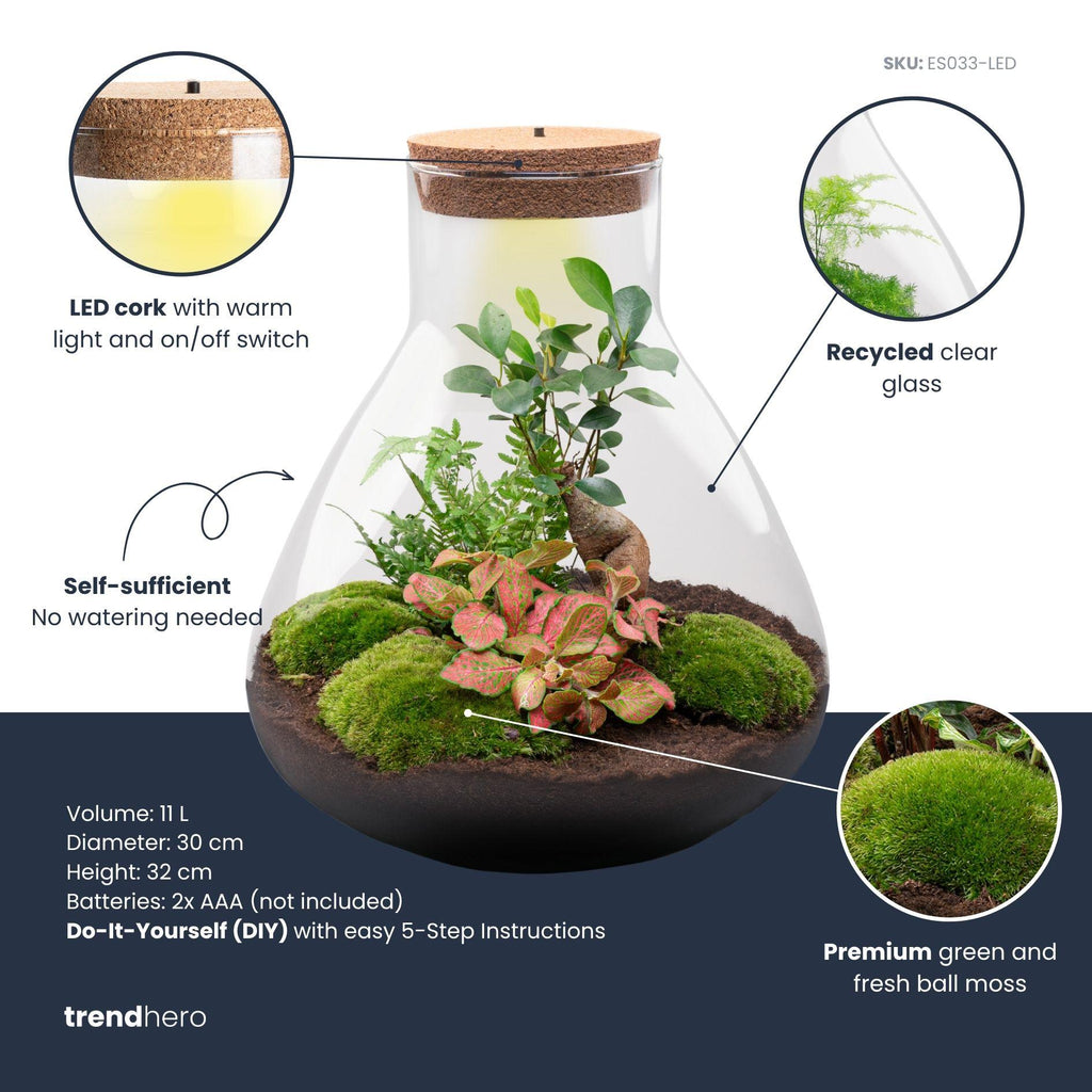DIY planten terrarium met licht - Sam XL Bonsai - Ø 30 cm ↑ 32 cm