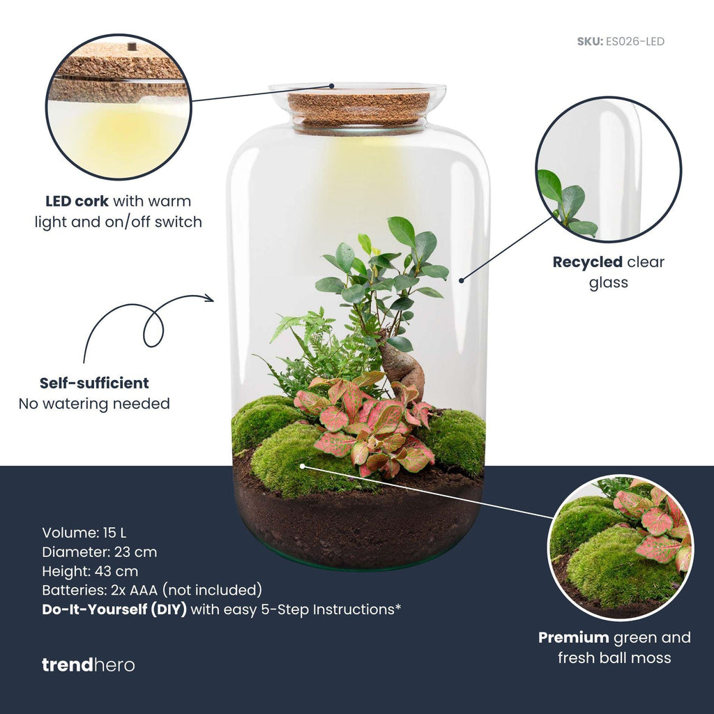 DIY terrarium - Sven XL Bonsai - Met verlichting - ↕ 43 cm - Rake + Shovel + Tweezer + Scissors