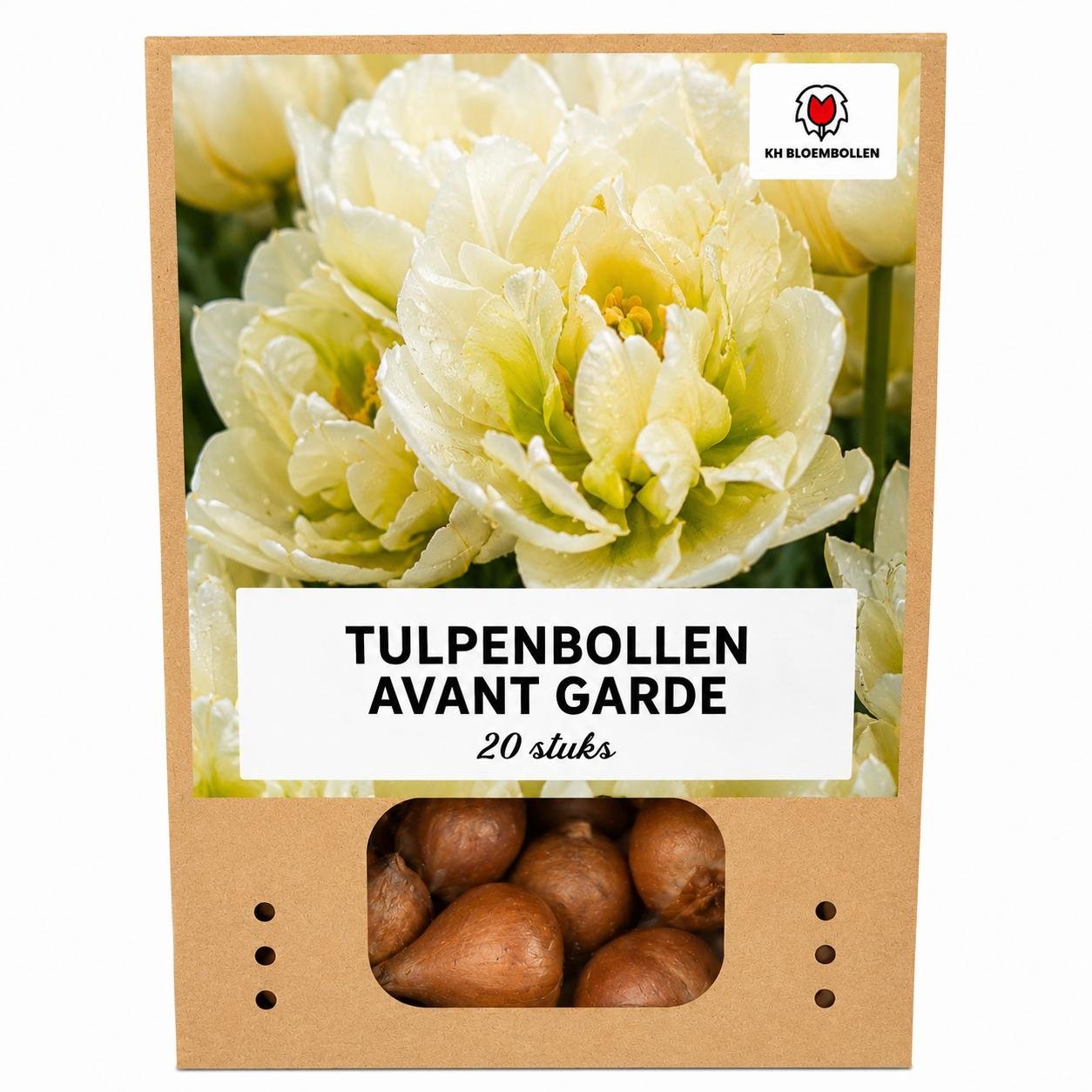 Tulpenbollen Avant Garde – 20 Stuks | KH Bloembollen® | Gele Dubbelbloemige Tulp – Uniek, Vol & Elegant – Voor Tuin of Pot – Maat 11/12 – Vers van de Teler