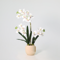 ARTIFICIAL Phalaenopsis orchid including pot - 71cm