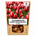 Tulpenbollen Candy Apple Delight – 20 Stuks | KH Bloembollen® | Rood-Witte Tulp – Frisse & Vrolijke Mix – Cadeau voor Tuin of Pot – Maat 11/12 – Vers van de Teler!