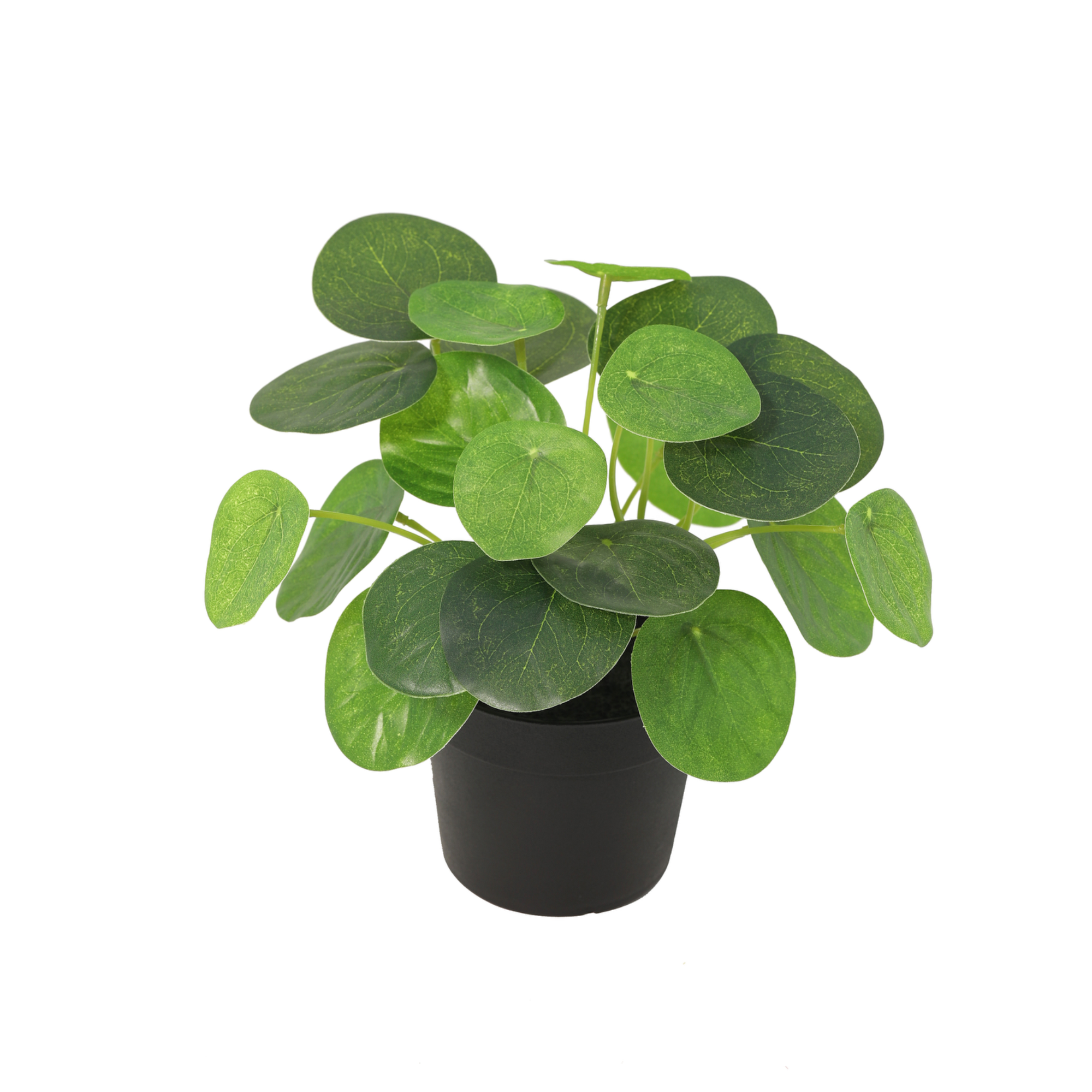 ARTIFICIAL Pilea peperomioides - 17,5cm