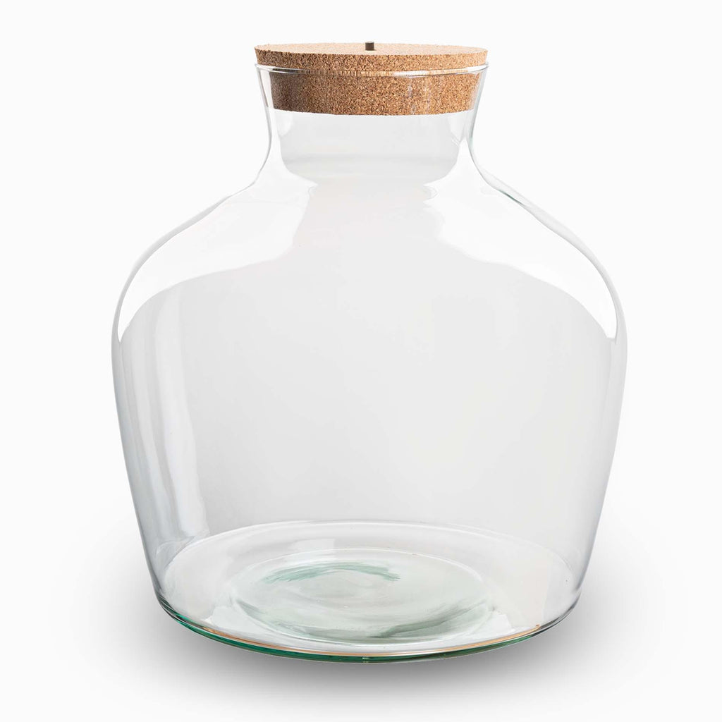 Terrarium fles met verlichting - Fat Joe - Ø 29 cm ↑ 30 cm