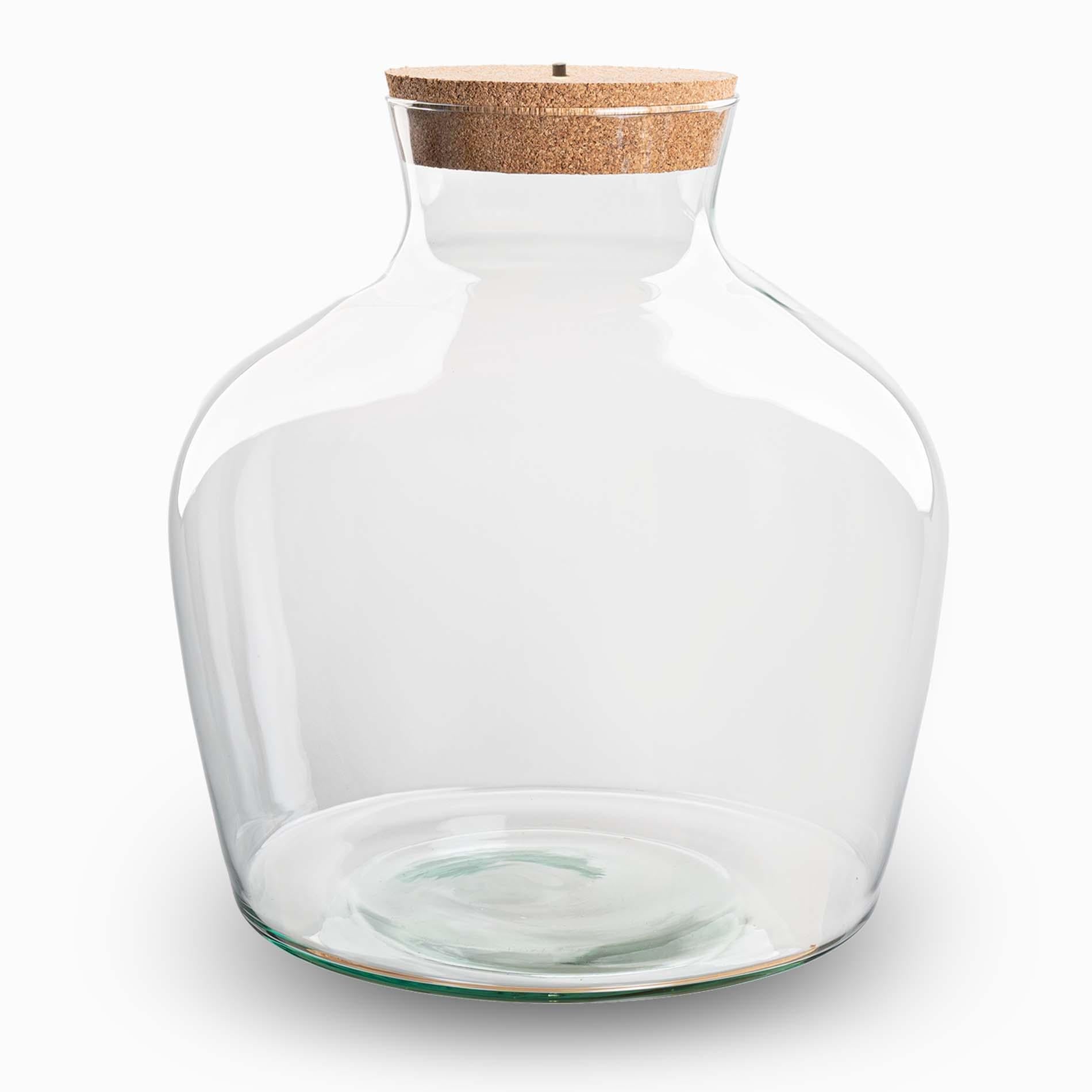 Terrarium fles met verlichting - Fat Joe - Ø 29 cm ↑ 30 cm