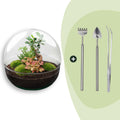DIY Planten terrarium tweedelig bolglas - Dome XL Bonsai - Ø 28 cm ↑ 28 cm - Rake + Shovel + Tweezer