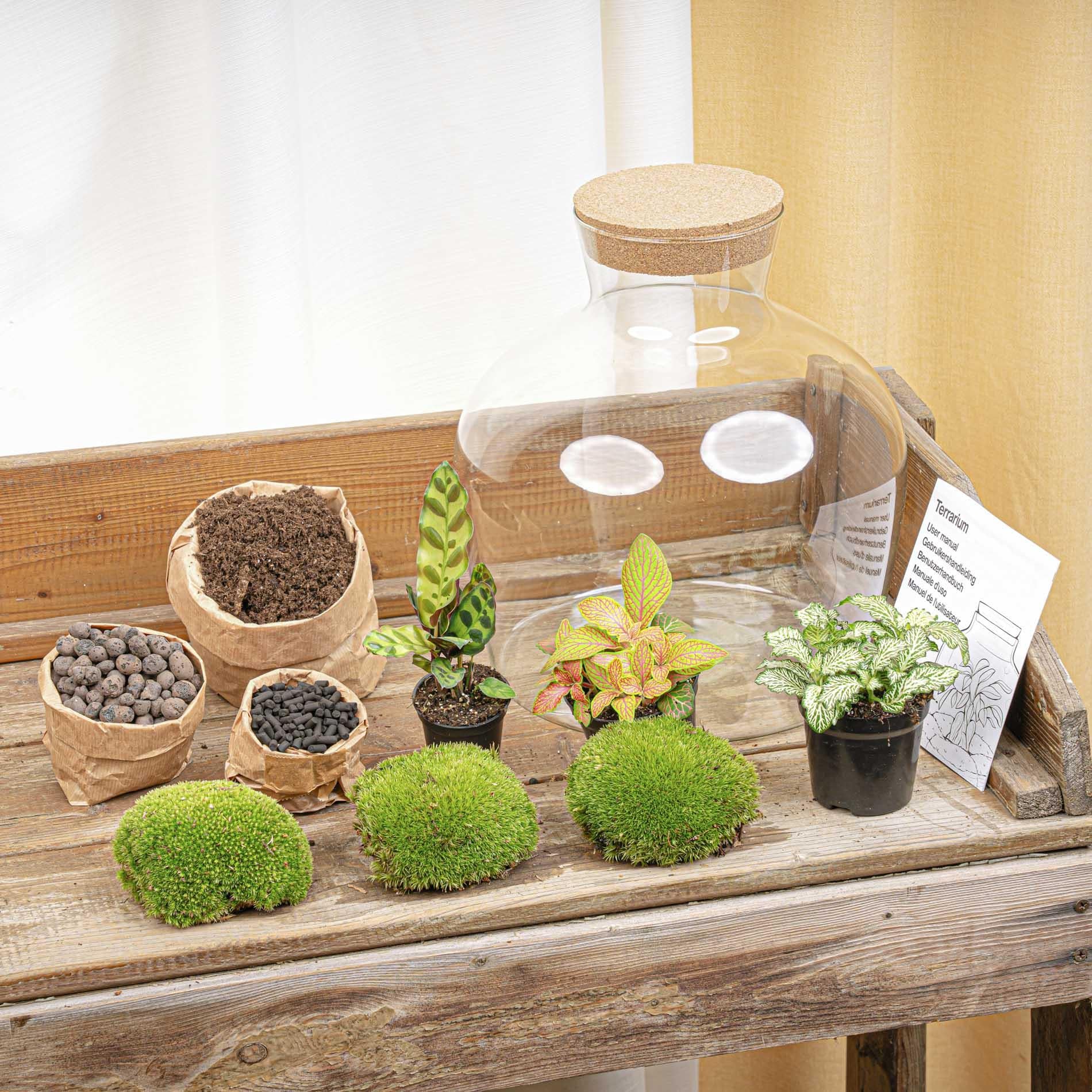 DIY Planten terrarium met licht - Fat Joe Red - Ø 29 cm ↑ 30 cm - Rake + Shovel + Tweezer