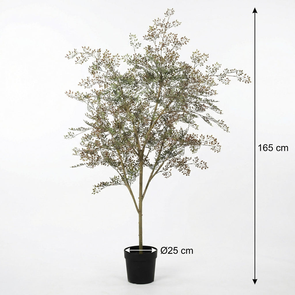 ARTIFICIAL Bucida - 165cm