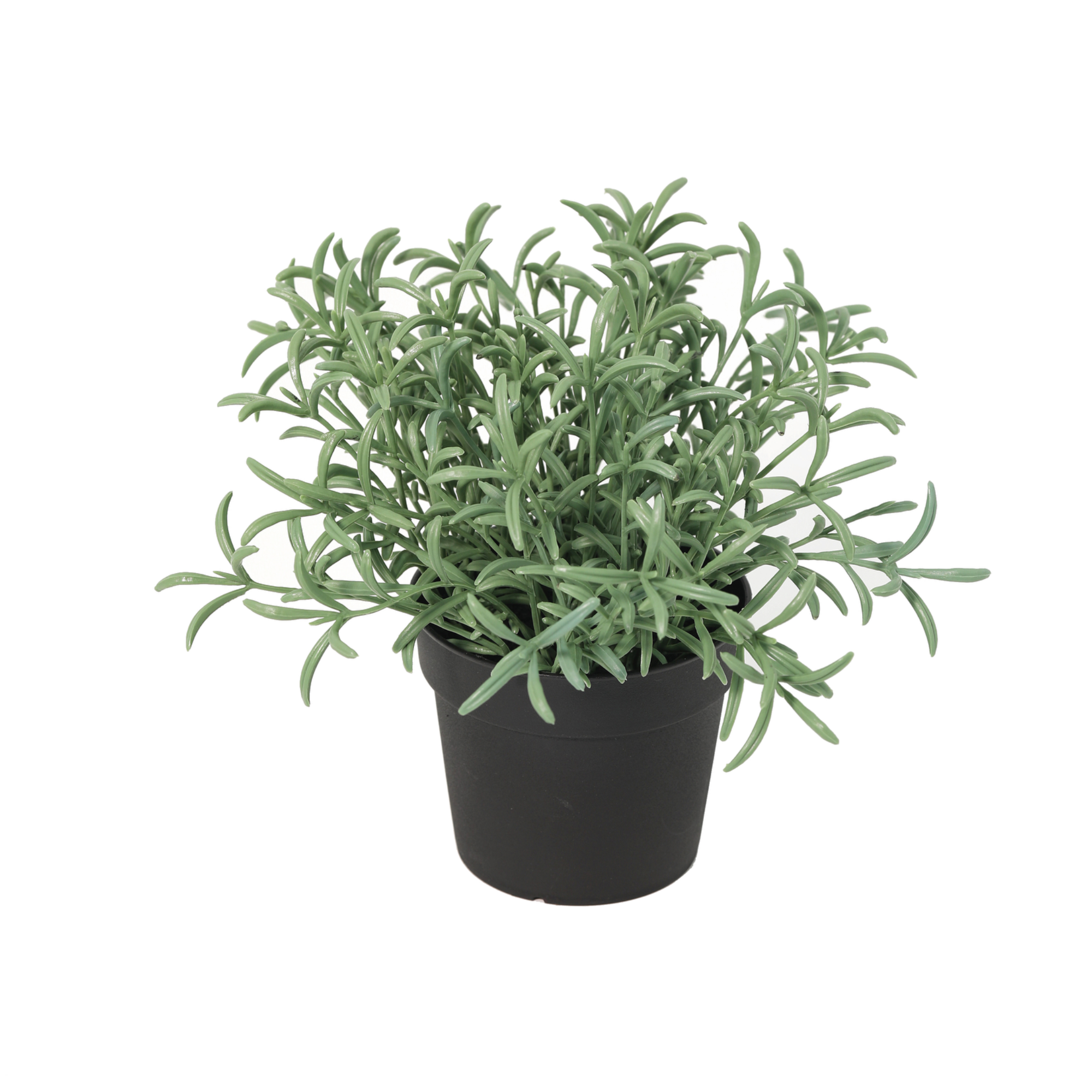 ARTIFICIAL Helichrysum italicum - 18cm