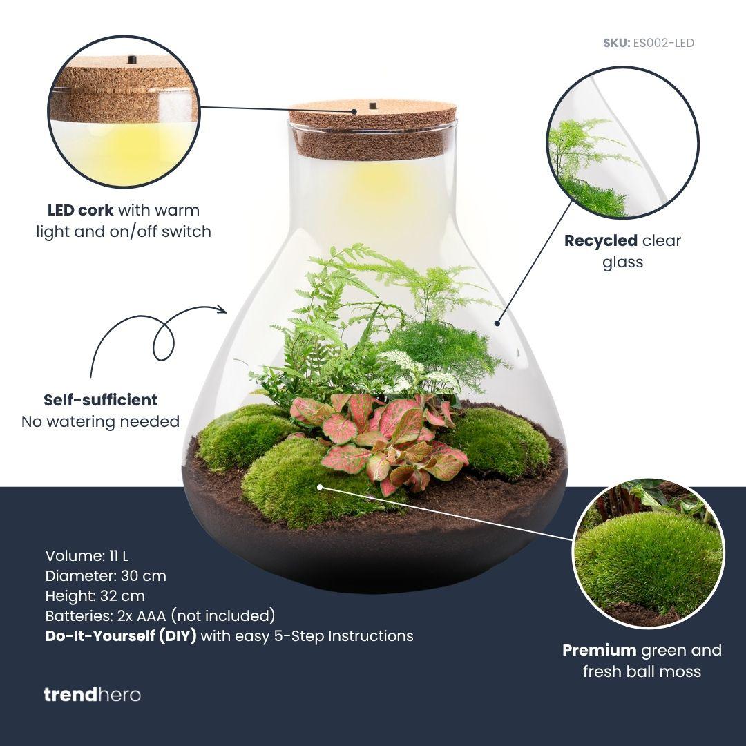 DIY Planten terrarium met licht - Sam XL Red - Ø 30 cm ↑ 32 cm - Rake + Shovel + Tweezer + Scissors