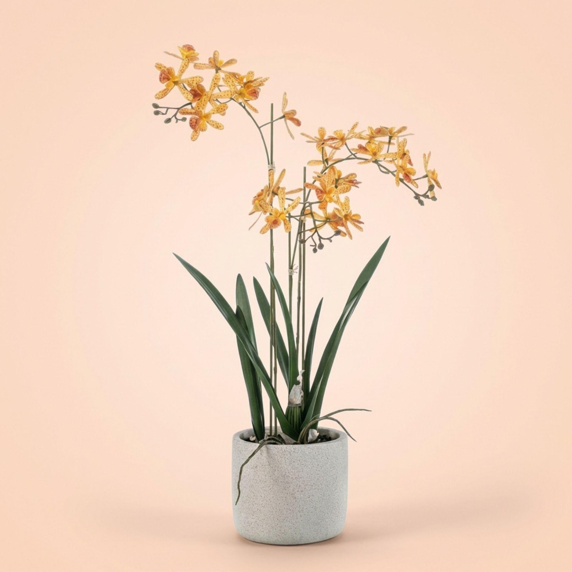 Renanthera Orchidee Geel & Oranje in pot - 56 cm - Kunstplant