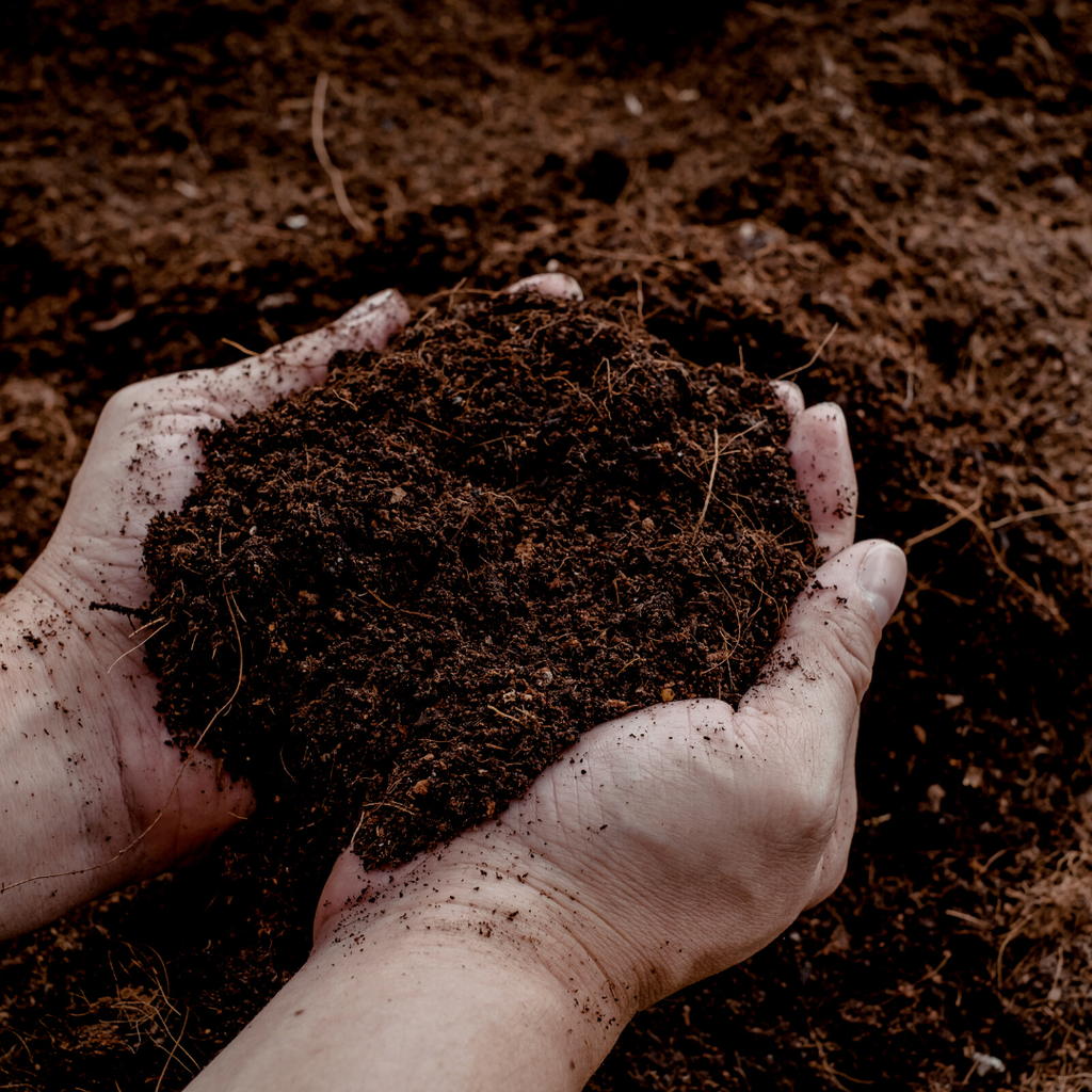 Potgrond Universeel 30 Liter – Voor Binnen- en Buitenplanten