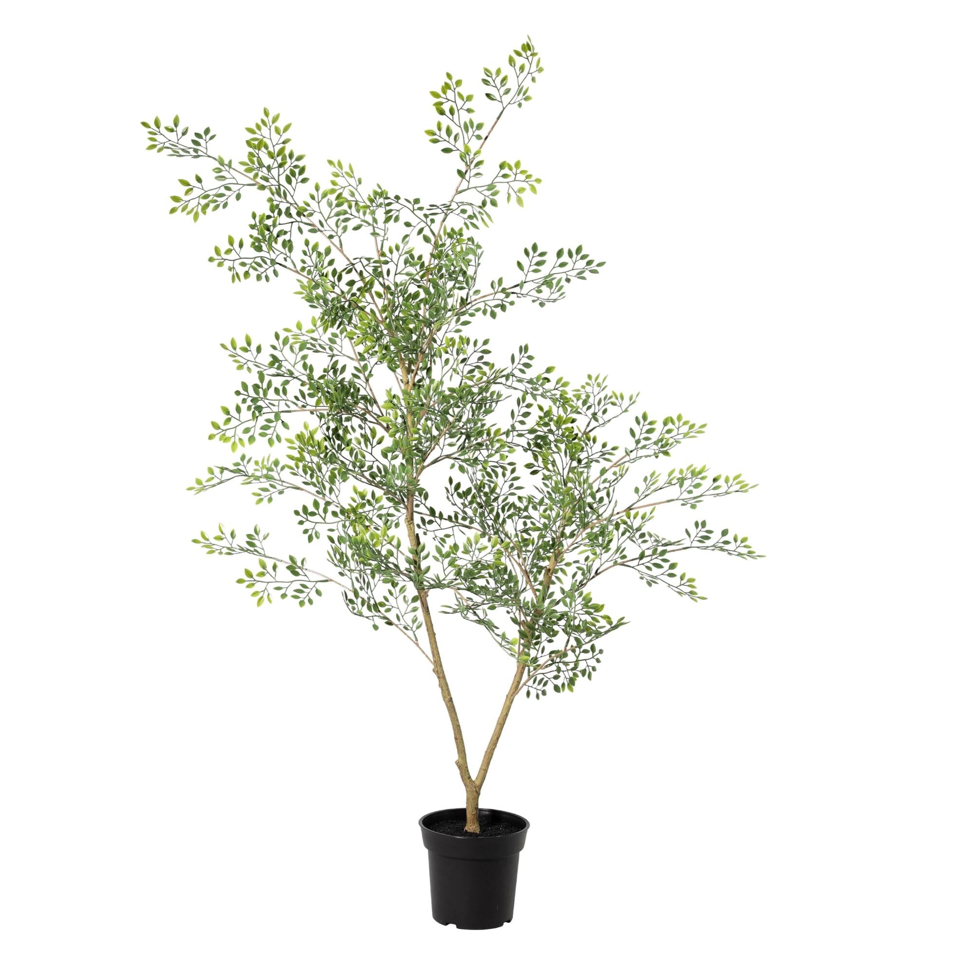 ARTIFICIAL Bucida - 71cm