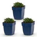 Vasteplant - Campanula portenschlagiana - Perzikbladklokje - Bodembedekkend - Roze - 3 Planten - Pot 11cm - Hoogte 15-25cm