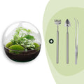 DIY Planten terrarium tweedelig bolglas - Dome XL -Ø 28 cm ↑ 28 cm - Rake + Shovel + Tweezer