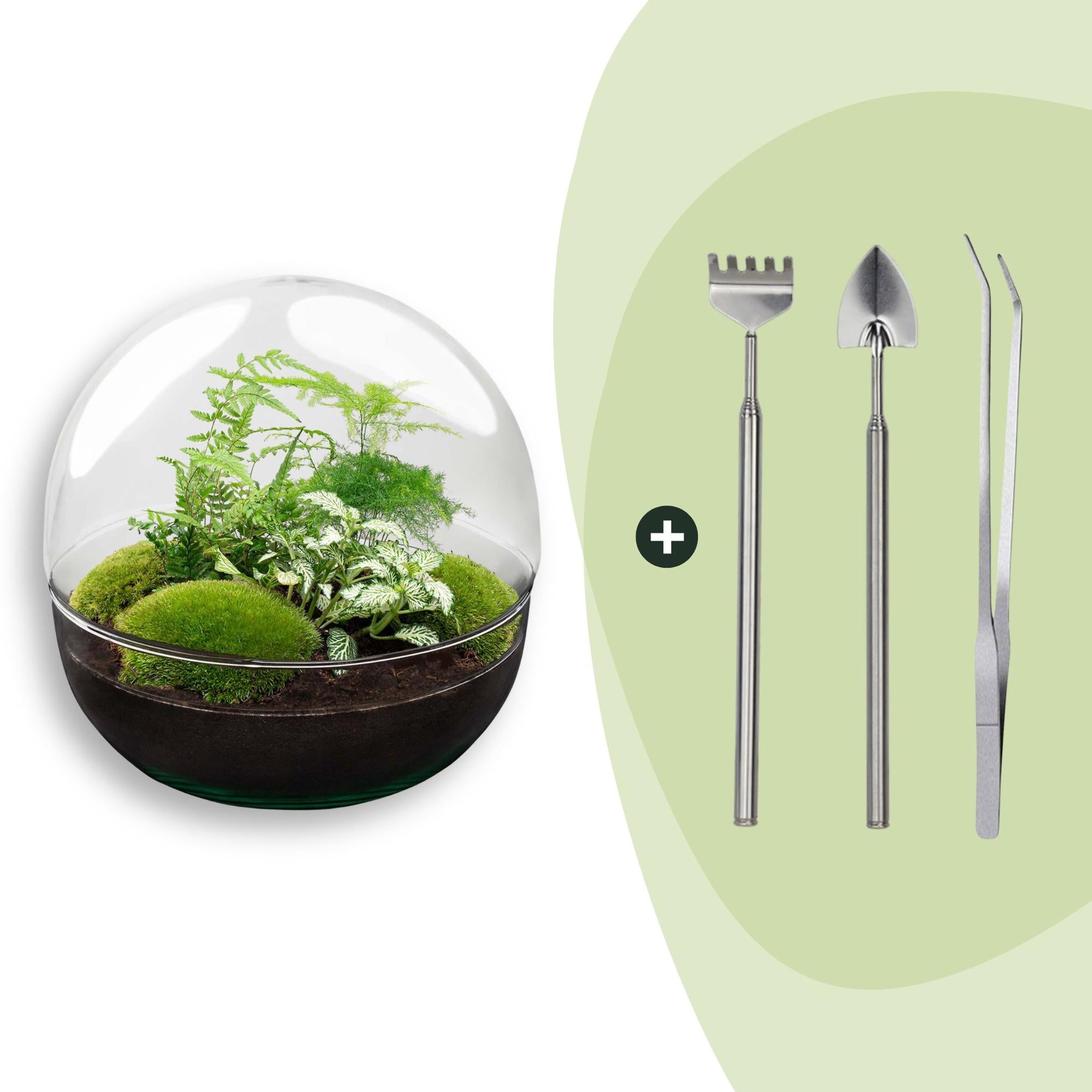 DIY Planten terrarium tweedelig bolglas - Dome XL -Ø 28 cm ↑ 28 cm - Rake + Shovel + Tweezer