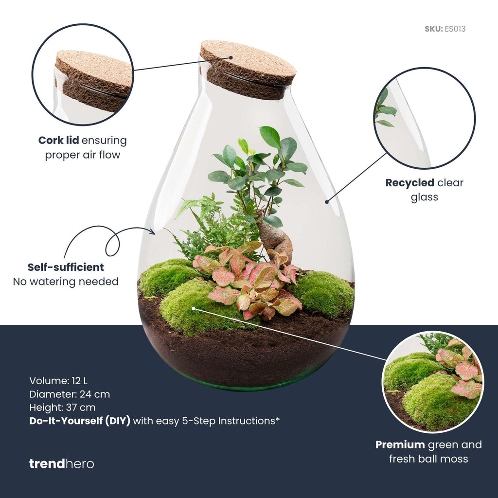 DIY Planten terrarium - Drop XL Bonsai 'red' - Ø 24 cm ↑ 37 cm - Rake + Shovel + Tweezer