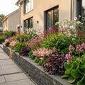 Borderpakket - Schaduw - 24 Vaste planten - 3 m2 - Diversen kleuren - Weinig Onderhoud - Pot 11cm