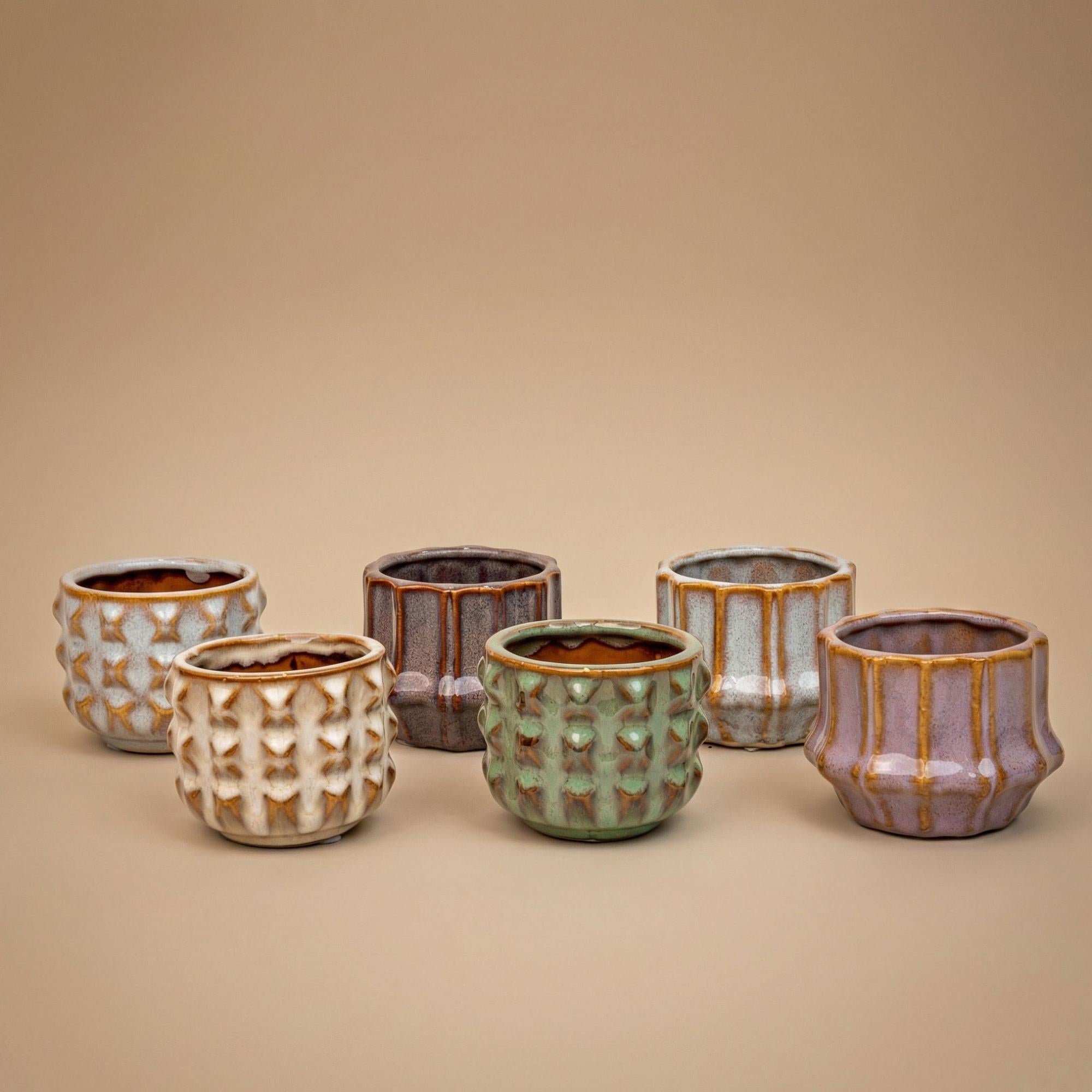 Plant set van 6 met pot set San Juan - Cactus mix - Ø 6 cm