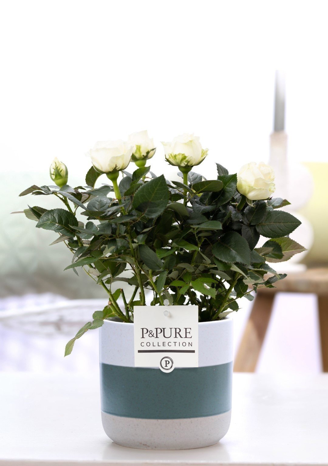 Rosa White In P&PURE Lauren Ceramics - Ø12cm - ↕30cm