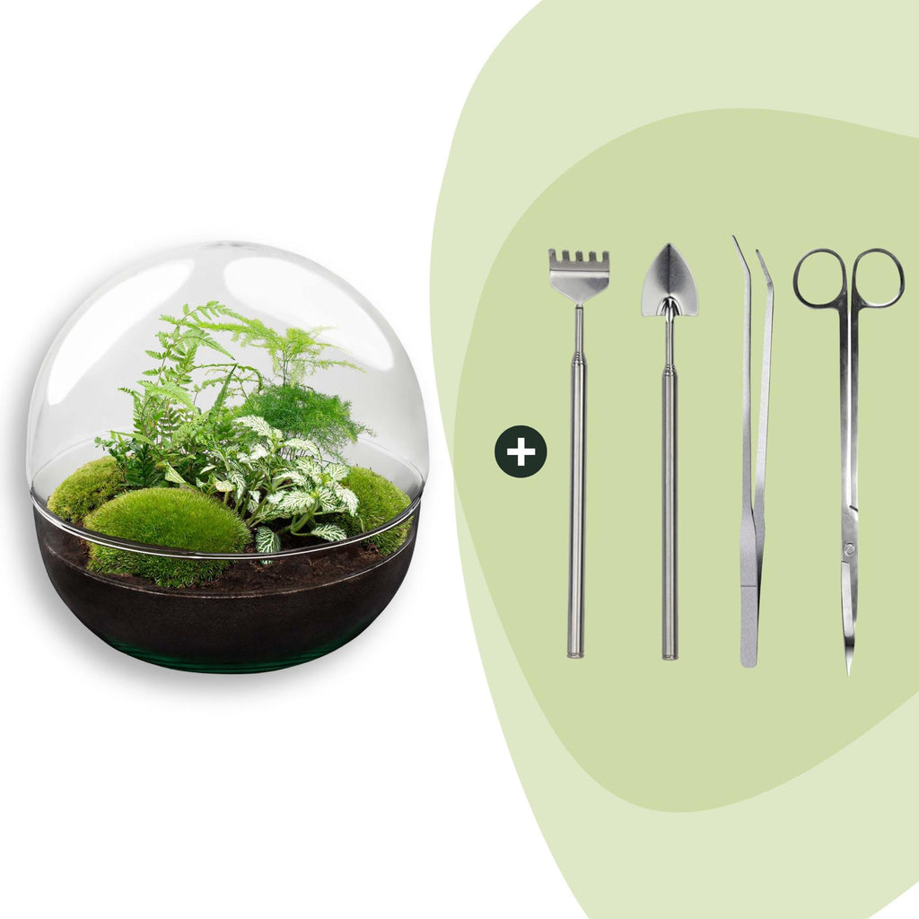 DIY Planten terrarium tweedelig bolglas - Dome XL -Ø 28 cm ↑ 28 cm - Rake + Shovel + Tweezer + Scissors