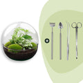 DIY Planten terrarium tweedelig bolglas - Dome XL -Ø 28 cm ↑ 28 cm - Rake + Shovel + Tweezer + Scissors