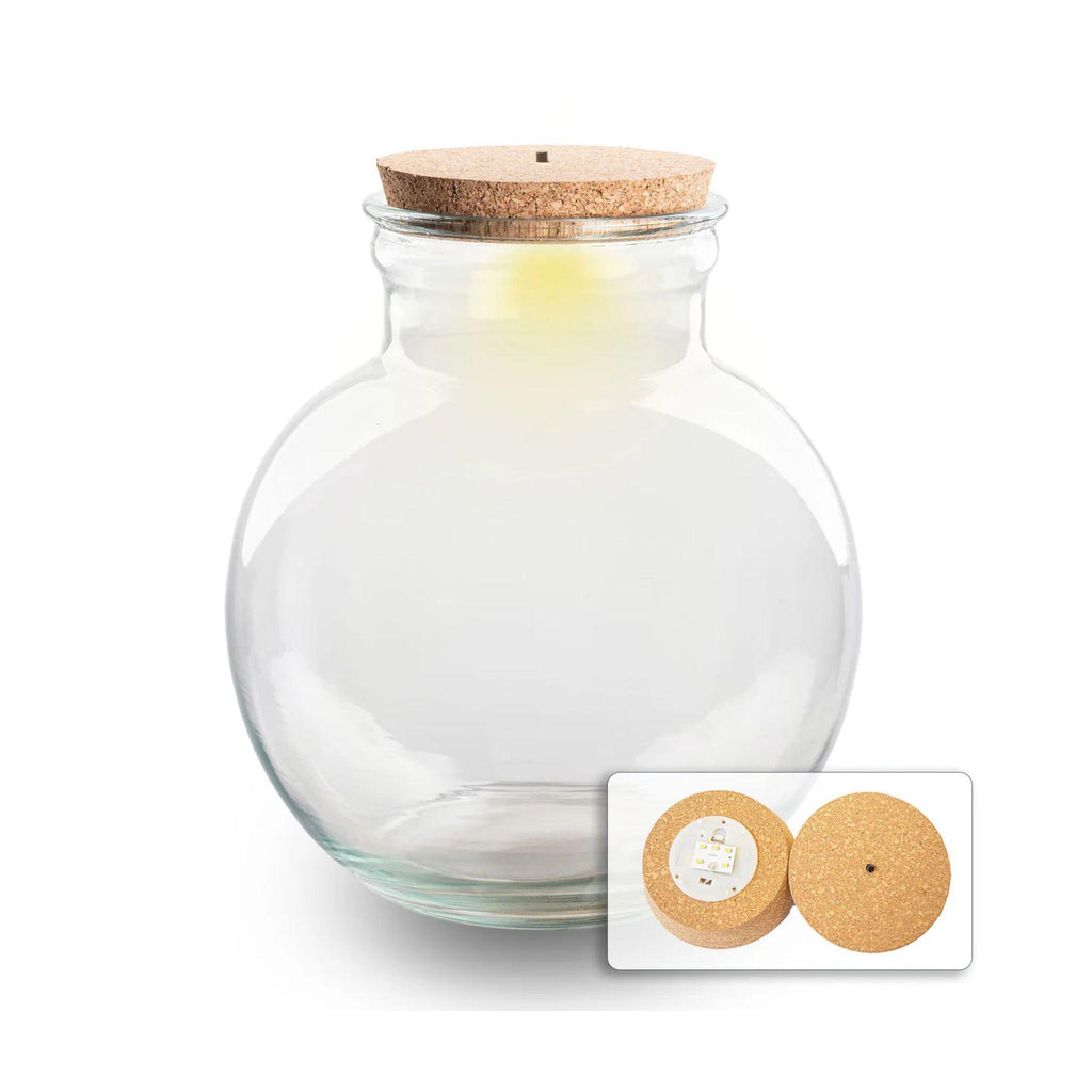 Terrarium fles (met) verlichting - Teddy - Ø 25 cm ↑ 26,5 cm - Met LED-kurk