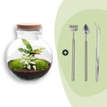 DIY Planten terrarium (met licht) - Teddy - Ø 25 cm ↑ 26,5 cm - Rake + Shovel + Tweezer