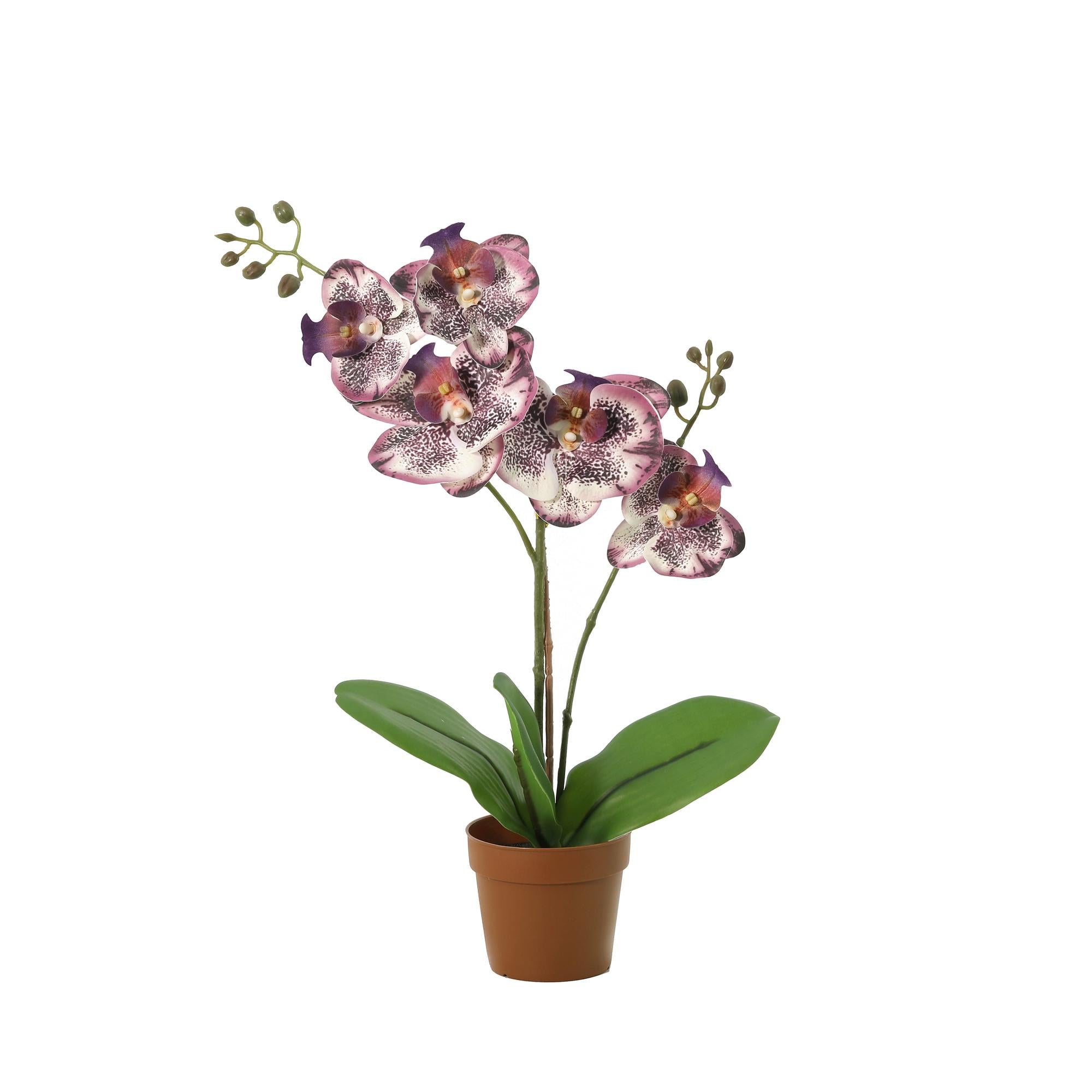 ARTIFICIAL Phalaenopsis orchid purple - 41cm