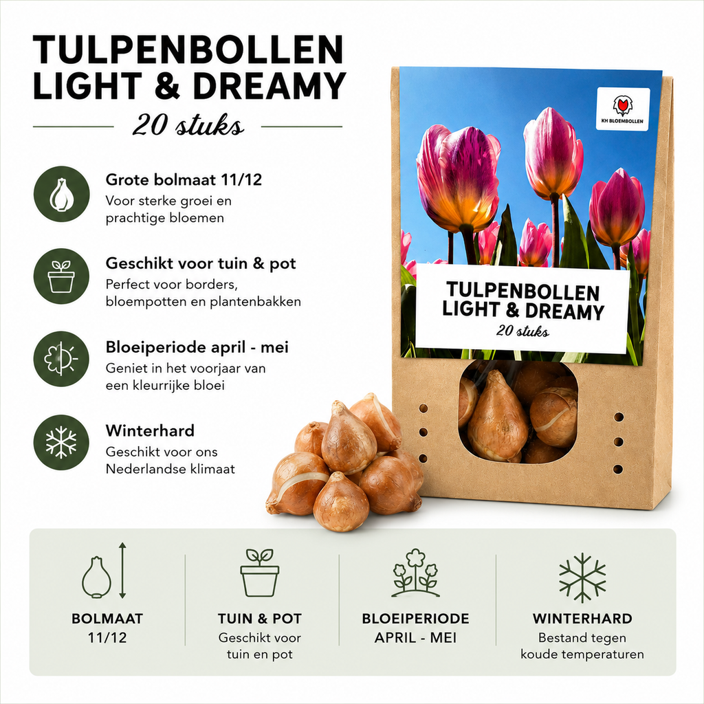 Tulpenbollen Light and Dreamy – 20 Stuks | KH Bloembollen® | Prachtige Pastelkleuren – Voor Tuin of Pot – Maat 11/12 – Vers van de Teler!