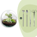 DIY Planten terrarium tweedelig bolglas - Dome - Ø 20 cm ↑ 20 cm - Rake + Shovel + Tweezer + Scissors