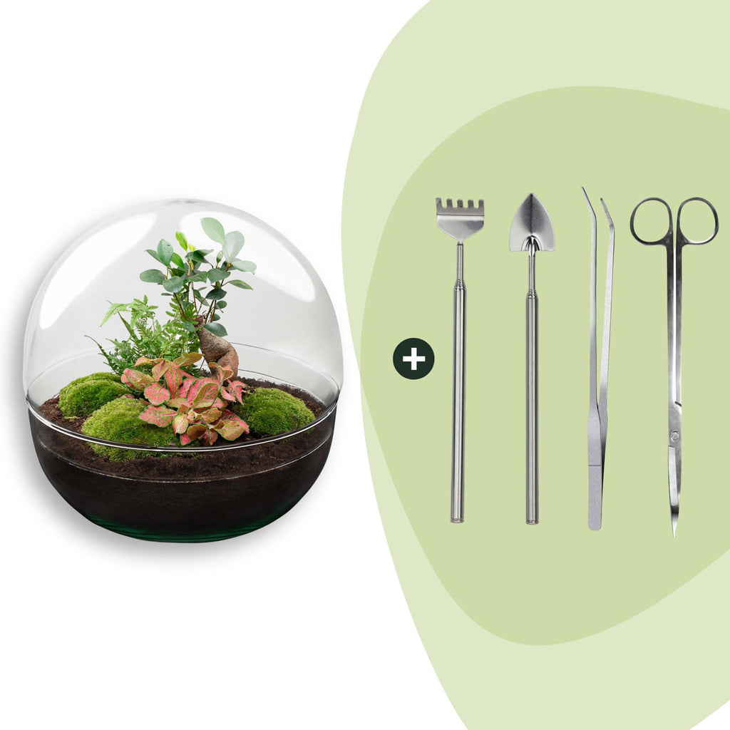 DIY Planten terrarium tweedelig bolglas - Dome XL Bonsai - Ø 28 cm ↑ 28 cm - Rake + Shovel + Tweezer + Scissors