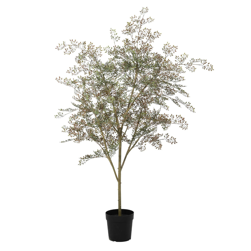 ARTIFICIAL Bucida - 165cm
