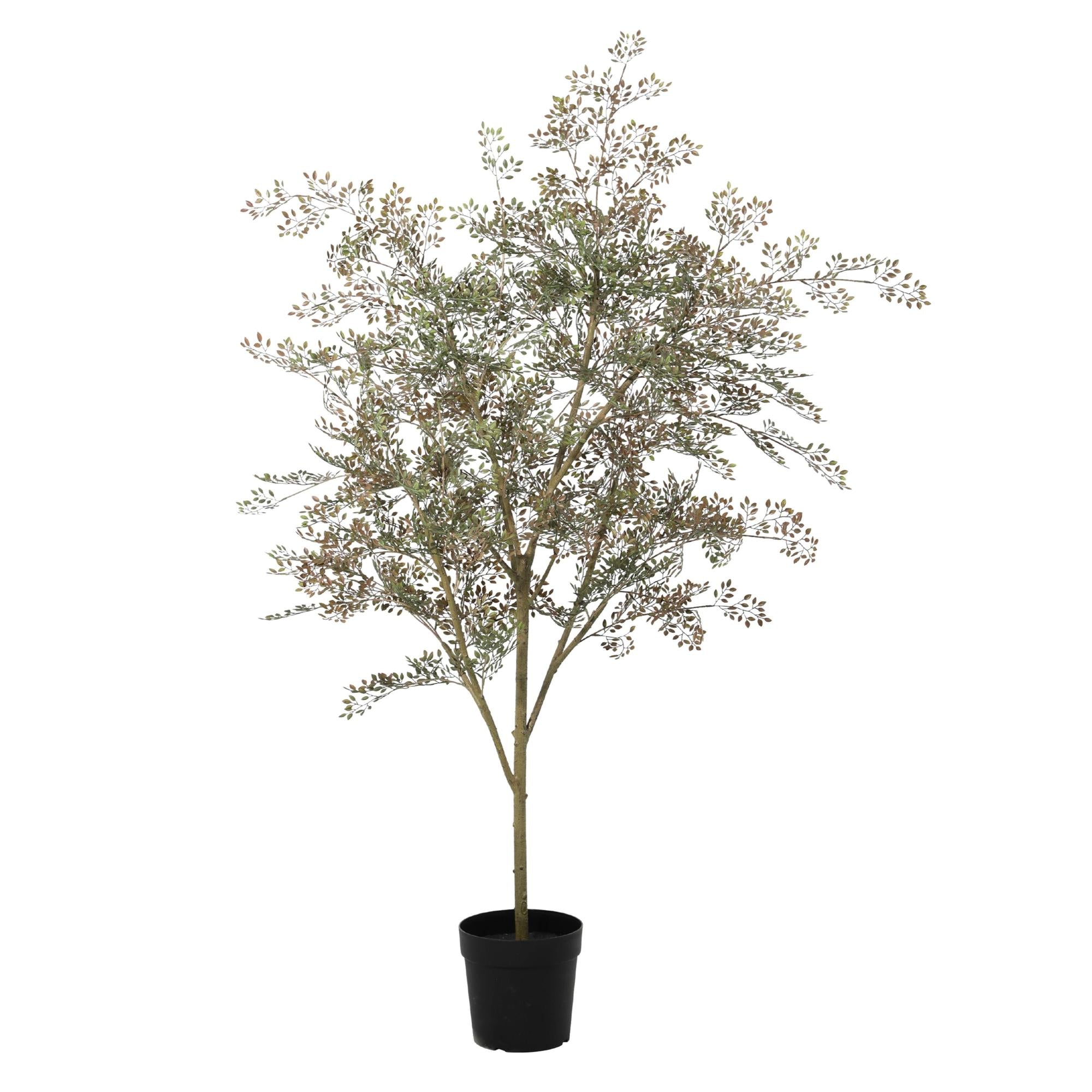 ARTIFICIAL Bucida - 165cm